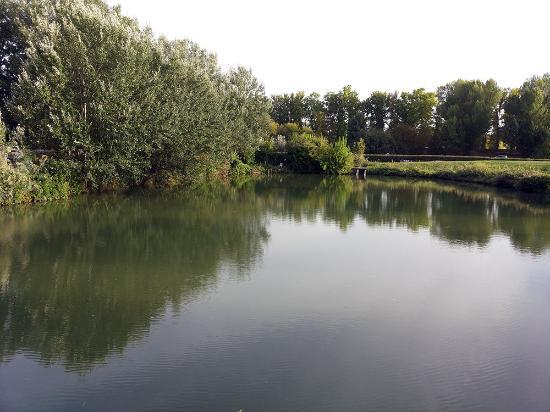 Parco Urbano G. Bassani